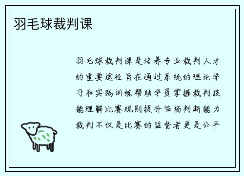 羽毛球裁判课